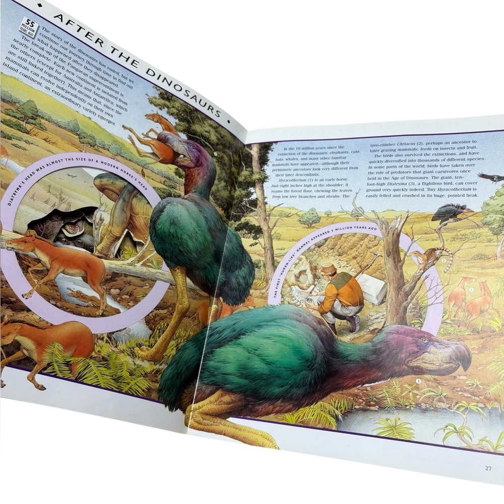 Journey Through the World of the Dinosaurs Book - Picture 10 of 12